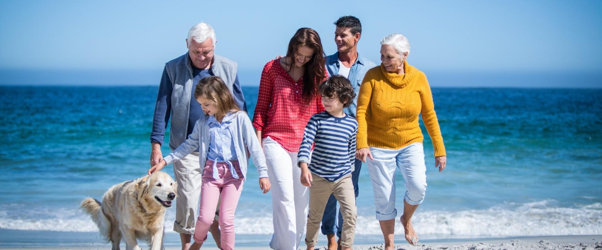 VIAJA CON TU MASCOTA