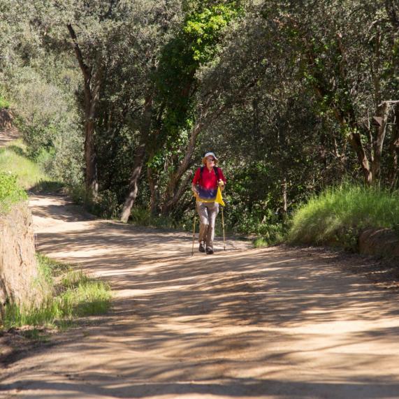 Parc Natural Montnegre - Corredor